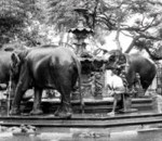 Sri Lanka  Kandy fountain