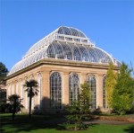 Edinburgh  Botanics temperate palm house