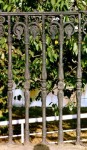 Glasgow  Adelphi Street railings 1