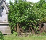 Old Kilpatrick  grave railing 2